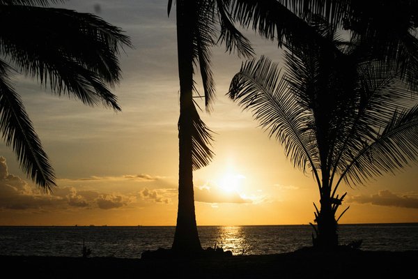 Comment organiser une visite des temples mayas de Palenque, Mexique : itinéraires et conseils pratiques ?